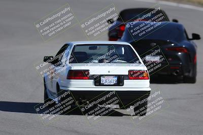 media/Nov-19-2023-Extreme Speed (Sun) [[bd0eec5490]]/Purple/Back Shots/